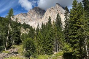 iPhone 13 f/1.6 1/3745sec ISO-50 5.1mm