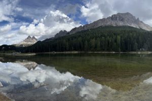 iPhone 13 f/1.6 1/5556sec ISO-50 5.1mm