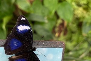 iPhone 13 f/1.6 1/121sec ISO-50 5.0999999046326mm Horizontal (normal)