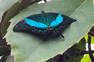 iPhone 13 f/1.6 1/121sec ISO-64 5.0999999046326mm Horizontal (normal)