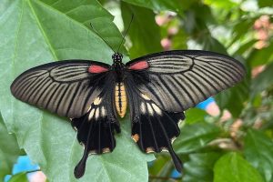 iPhone 13 f/1.6 1/121sec ISO-100 5.0999999046326mm Horizontal (normal)