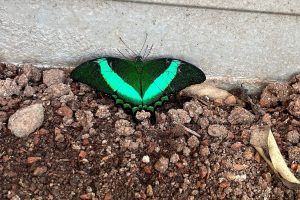 iPhone 13 f/1.6 1/109sec ISO-125 5.0999999046326mm Horizontal (normal)