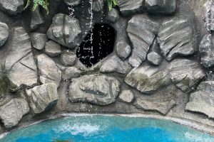 iPhone 13 f/1.6 1/122sec ISO-40 5.0999999046326mm Horizontal (normal)