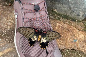 iPhone 13 f/1.6 1/121sec ISO-100 5.0999999046326mm Horizontal (normal)