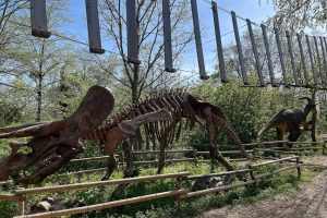 iPhone 13 f/1.6 1/2268sec ISO-50 5.0999999046326mm Horizontal (normal)