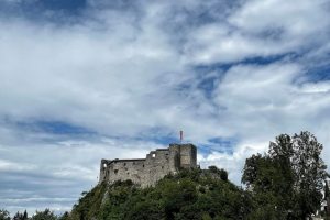 iPhone 13 f/1.6 1/7353sec ISO-50 5.0999999046326mm Horizontal (normal)