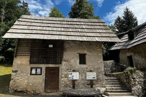 iPhone 13 f/1.6 1/2688sec ISO-50 5.0999999046326mm Horizontal (normal)