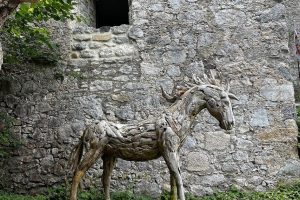 iPhone 13 f/1.6 1/550sec ISO-50 5.0999999046326mm Horizontal (normal)