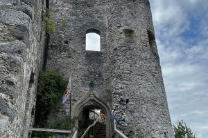 iPhone 13 f/1.6 1/2825sec ISO-50 5.0999999046326mm Horizontal (normal)