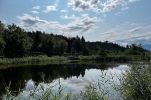 iPhone 13 f/1.6 1/9091sec ISO-50 5.0999999046326mm Horizontal (normal)