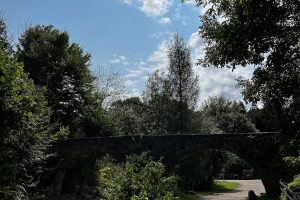 iPhone 13 f/1.6 1/9091sec ISO-50 5.0999999046326mm Horizontal (normal)