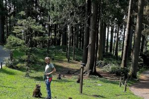 iPhone 13 f/1.6 1/684sec ISO-50 5.0999999046326mm Horizontal (normal)