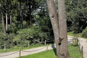 iPhone 13 f/1.6 1/1748sec ISO-50 5.0999999046326mm Horizontal (normal)