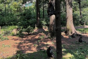 iPhone 13 f/1.6 1/390sec ISO-50 5.0999999046326mm Horizontal (normal)