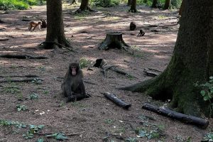 iPhone 13 f/1.6 1/121sec ISO-40 5.0999999046326mm Horizontal (normal)