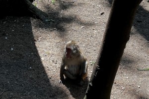 iPhone 13 f/1.6 1/598sec ISO-50 5.0999999046326mm Horizontal (normal)