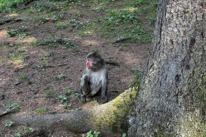 iPhone 13 f/1.6 1/122sec ISO-64 5.0999999046326mm Horizontal (normal)