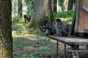 iPhone 13 f/1.6 1/122sec ISO-64 5.0999999046326mm Horizontal (normal)