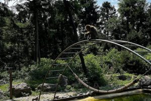 iPhone 13 f/1.6 1/2137sec ISO-50 5.0999999046326mm Horizontal (normal)