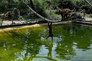 iPhone 13 f/1.6 1/1776sec ISO-50 5.0999999046326mm Horizontal (normal)