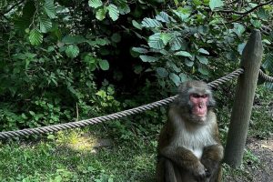 iPhone 13 f/1.6 1/122sec ISO-32 5.0999999046326mm Horizontal (normal)