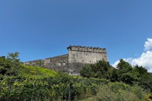 iPhone 13 f/1.6 1/3135sec ISO-50 5.0999999046326mm Horizontal (normal)