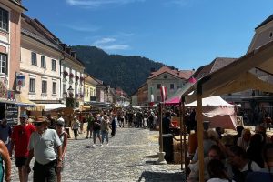 iPhone 13 f/1.6 1/3623sec ISO-50 5.0999999046326mm Horizontal (normal)