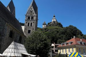 iPhone 13 f/1.6 1/2755sec ISO-50 5.0999999046326mm Horizontal (normal)