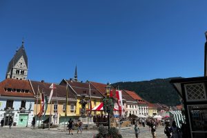 iPhone 13 f/1.6 1/3876sec ISO-50 5.0999999046326mm Horizontal (normal)