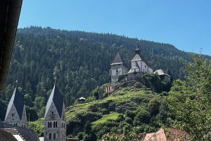 iPhone 13 f/1.6 1/2899sec ISO-50 5.0999999046326mm Horizontal (normal)