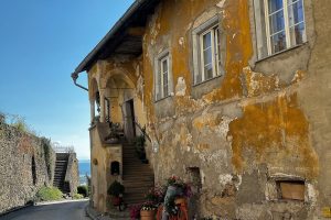 iPhone 13 f/1.6 1/2410sec ISO-50 5.0999999046326mm Horizontal (normal)