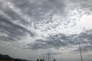 iPhone X f/1.8 1/9804sec ISO-25 4mm