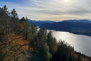 iPhone 13 f/1.6 1/9901sec ISO-50 5.1mm