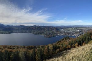 iPhone 13 f/1.6 1/8197sec ISO-32 5.1mm