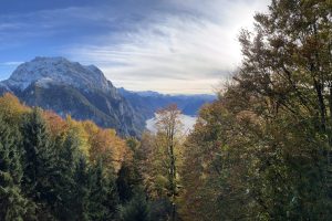 iPhone 13 f/1.6 1/1550sec ISO-50 5.1mm