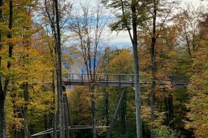 iPhone 13 f/1.6 1/858sec ISO-50 5.1mm