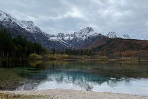 iPhone 13 f/1.6 1/2410sec ISO-50 5.1mm