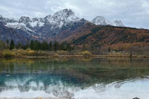 iPhone 13 f/1.6 1/1580sec ISO-50 5.1mm