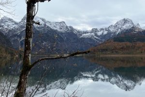 iPhone 13 f/1.6 1/2101sec ISO-50 5.1mm