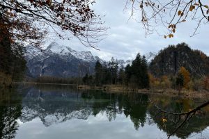 iPhone 13 f/1.6 1/2179sec ISO-50 5.1mm