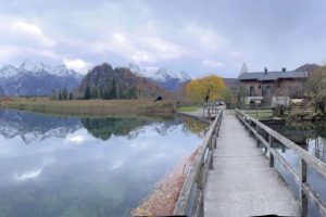 iPhone 13 f/1.6 1/363sec ISO-125 5.1mm