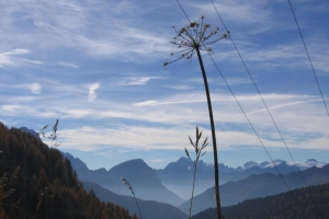 Canon PowerShot A95 f/8 1/640sec 11.4375mm Horizontal (normal)