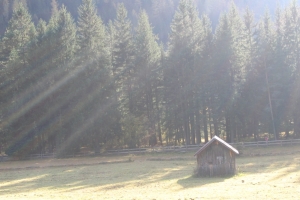 Canon PowerShot A95 f/5.6 1/40sec 16.21875mm Horizontal (normal)