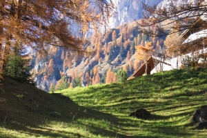 Canon PowerShot A95 f/5 1/80sec 16.21875mm Horizontal (normal)