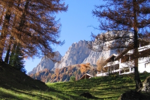 Canon PowerShot A95 f/5 1/125sec 9.625mm Horizontal (normal)