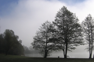 Canon PowerShot A95 f/5.6 1/800sec 9.625mm Horizontal (normal)