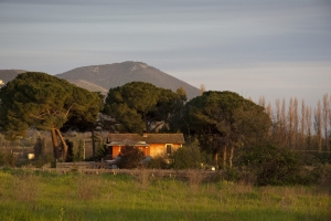 Canon EOS 40D f/6.3 1/125sec ISO-400 85mm Horizontal (normal)