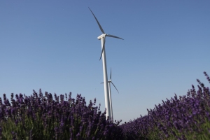 Canon EOS 90D f/5.6 1/1000sec ISO-100 28mm Horizontal (normal)