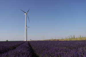 Canon EOS 90D f/5.6 1/1000sec ISO-100 20mm Horizontal (normal)