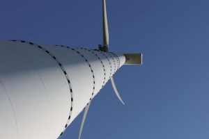 Canon EOS 90D f/5.6 1/800sec ISO-100 25mm Horizontal (normal)